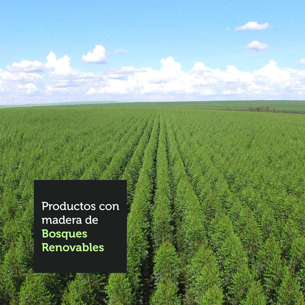 Juego de Comedor con Mesa de Vidrio y 4 Sillas Avril Madesa