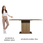 Mesa de Comedor Rectangular Tapa de Madera 160 cm Marrón/Negro Madesa 01