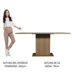 Mesa de Comedor Rectangular Tapa de Madera 160 cm Marrón/Gris Madesa 01