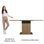 Mesa de Comedor Rectangular Tapa de Vidrio Sobrepuesto 160 cm Marrón/Gris Madesa 01