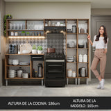 Combo completo de Cocina 229cm Marrón/Negro Emilly Madesa 04
