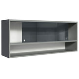 Alacena para Cocina 120 cm 2 Puertas Corredizas de Vidrio Translúcido color Gris Nice Madesa