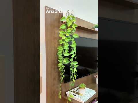 Demonstração do produto